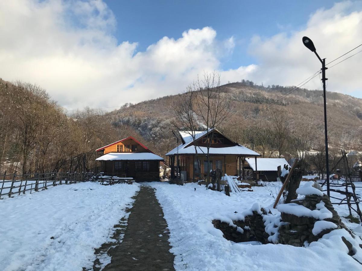 Ferienwohnung Casutele Doftanei Teşila Exterior foto