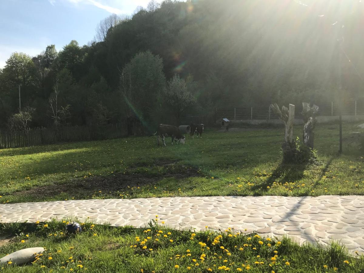 Ferienwohnung Casutele Doftanei Teşila Exterior foto